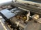 2023 Chevrolet Colorado 4WD Trail Boss