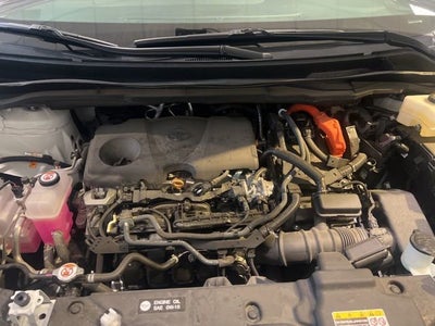 2025 Toyota Sienna LE